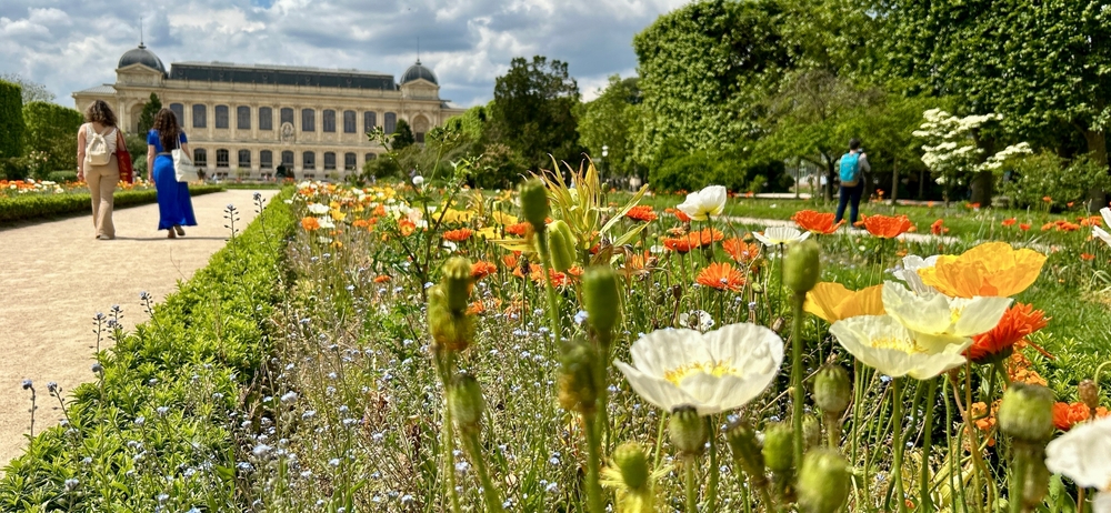 Garden,Of,Plantes.,Paris,,France.