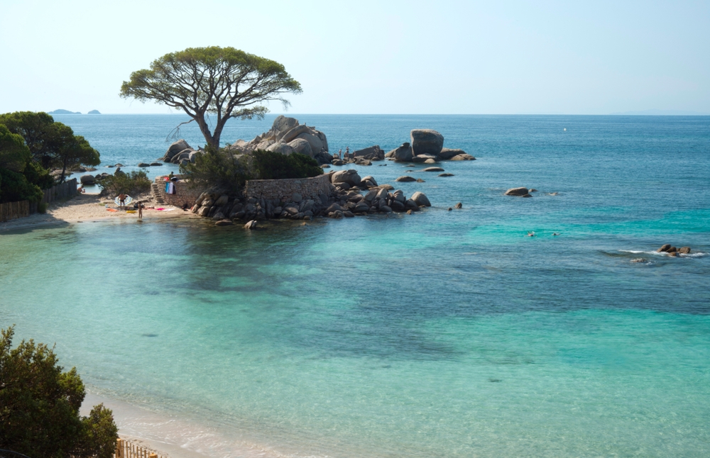 plage de Palombaggia