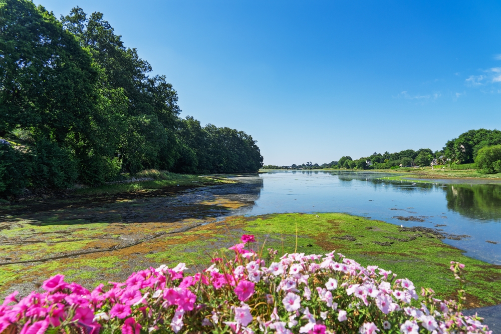 The,Forêt fouesnant,Ria,At,High,Tide,Under,A,Bright,Blue