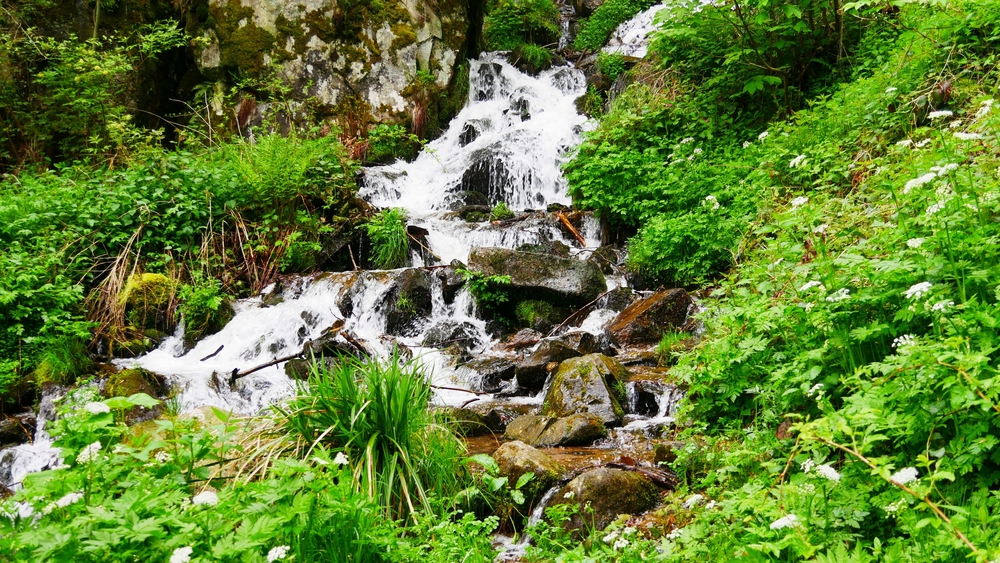 Hohwald,,Bas rhin,,France, ,05,12,2023,:,Waterfall,Of