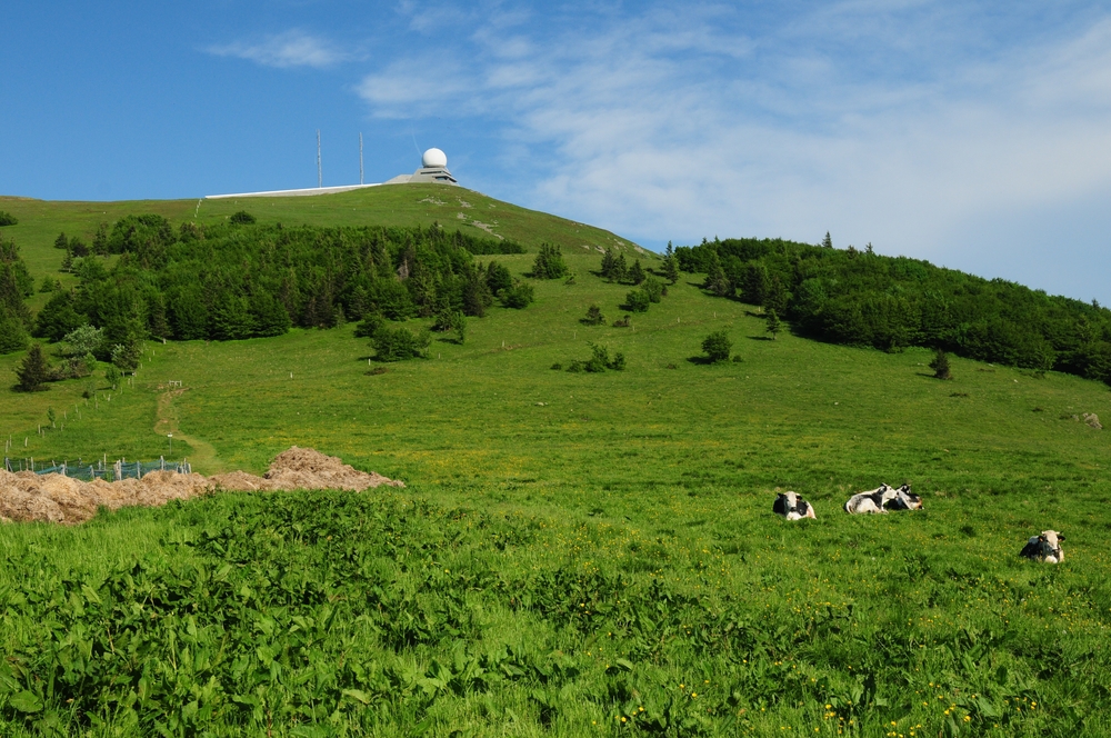 View,To,The,Le,Grand,Ballon,Mountain,Vosges,Mountains,France