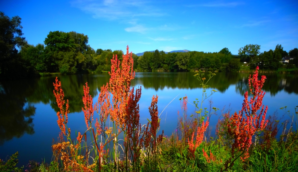 Europe,,France,,Alsace,,Michelbach,Dam,And,Lake,In,The,Haut