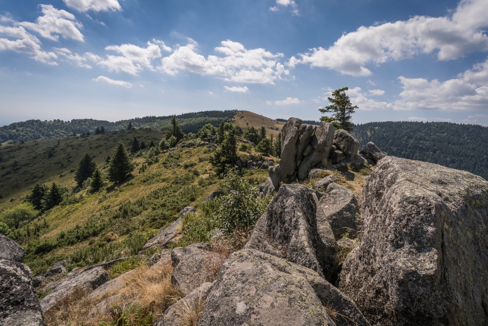 View,From,The,Le,Petit,Ballon,In,The,French,Vosges