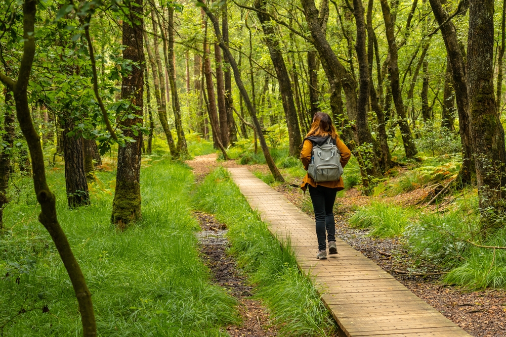 A,Young,Girl,On,The,Wooden,Footpath,At,Lake,Paimpont
