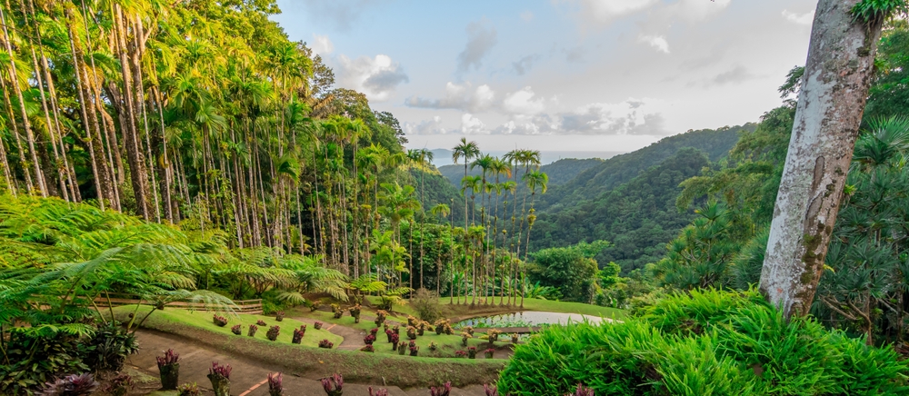 Jardins,De,La,Balata,In,Martinique,,French,Antilles.