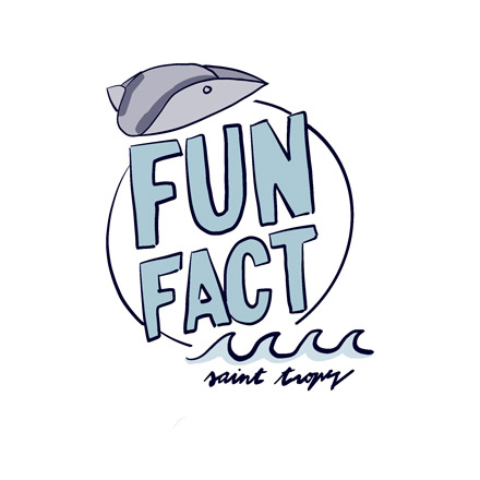 16 fun facts