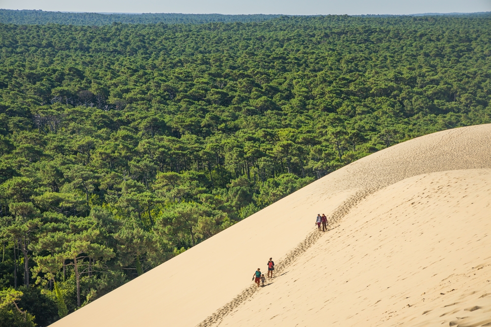Dune du Pilat