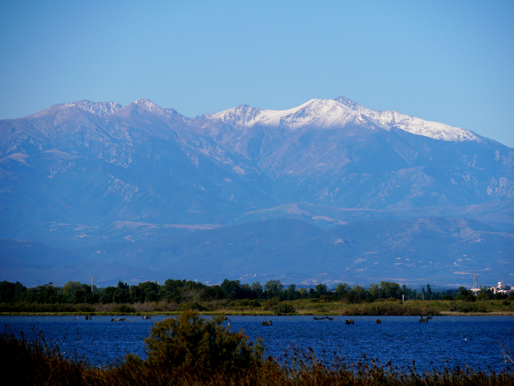 Canet,En,Roussillon,,Pyrénées,Orientales/france, ,09/12/2019,:,Mount,Canigou