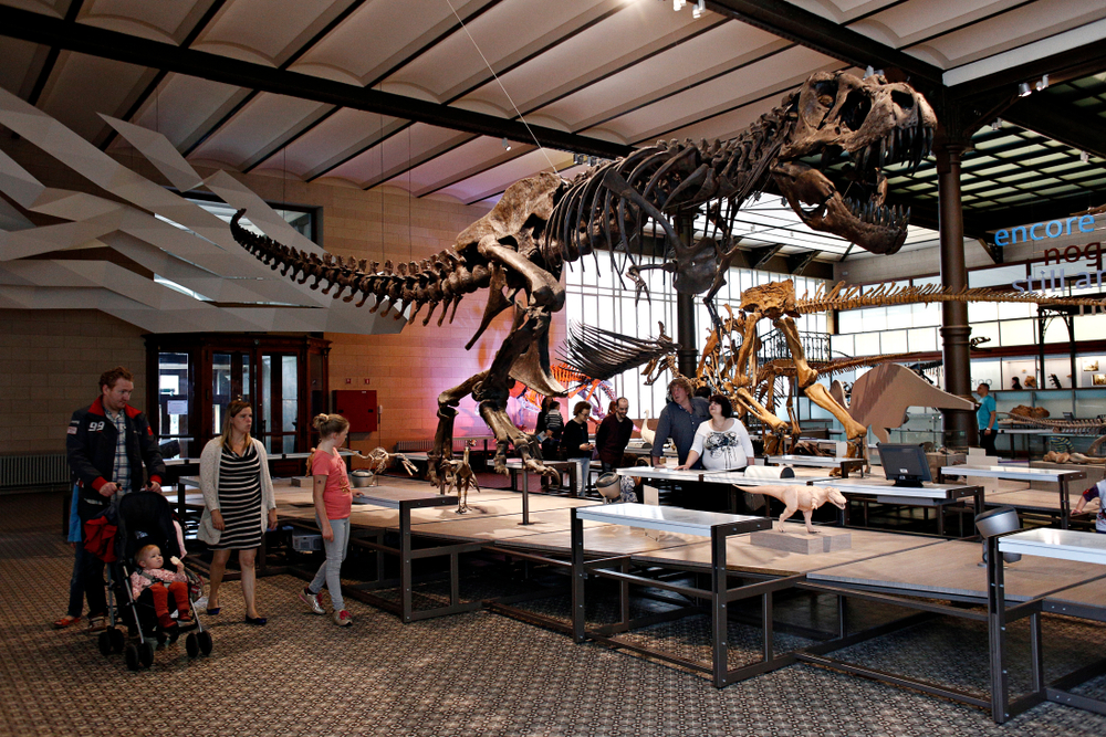 museum-des-sciences-naturelles