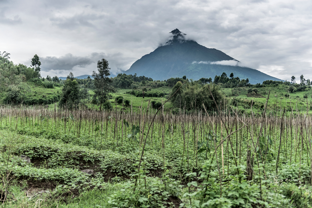 republique-democratique-du-congo