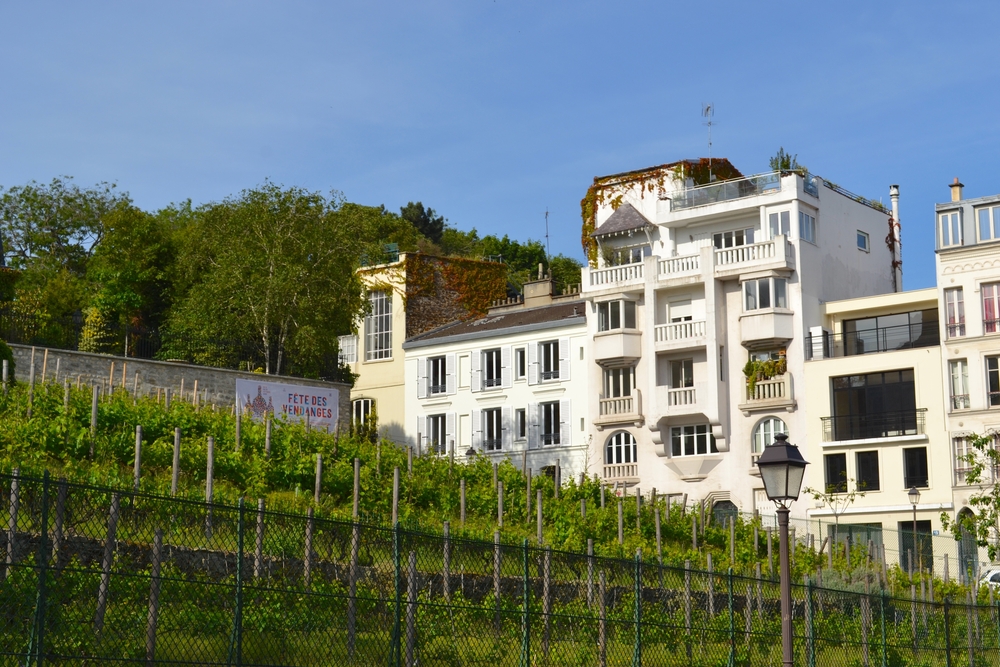vignoble-montmartre