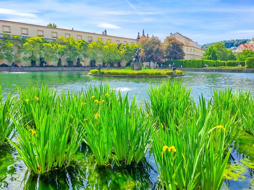 etang-jardin-wallenstein