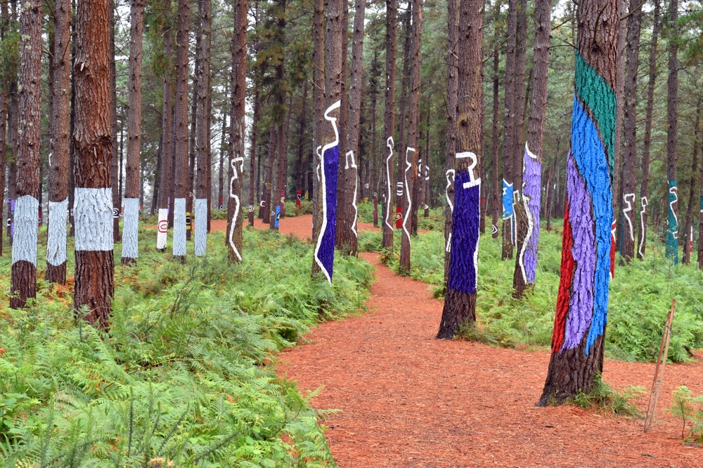 foret-oma-reserve-urdaibai