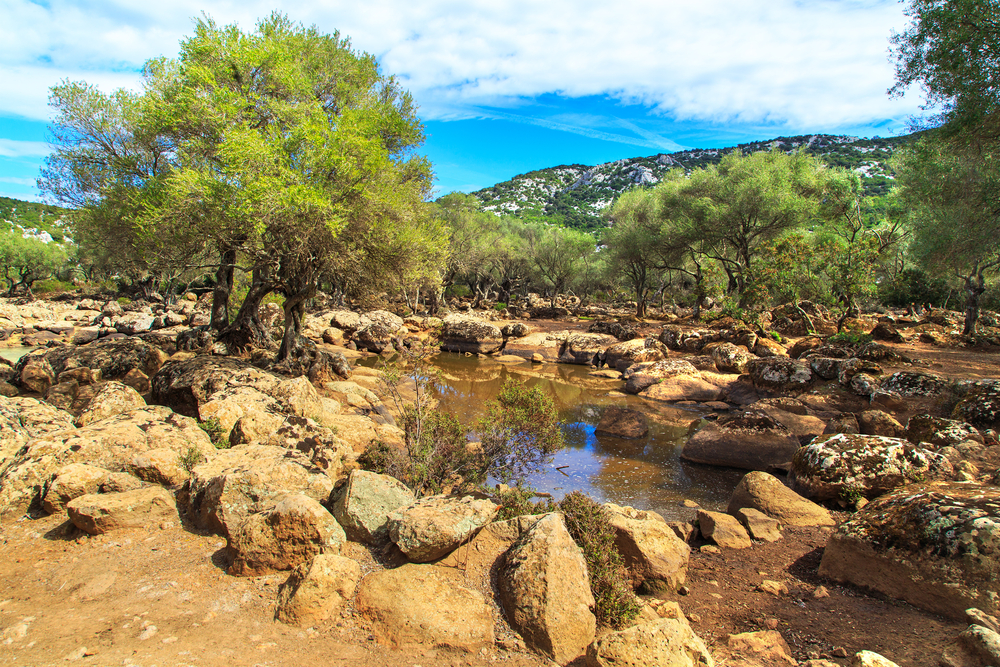 golfo-di-orosei-sardaigne