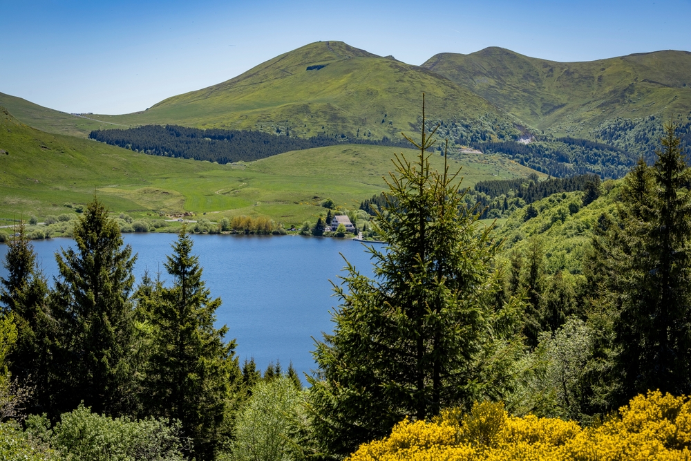 Scenic,View,Of,Lake,Guéry,In,Auvergne,,France,,Surrounded,By