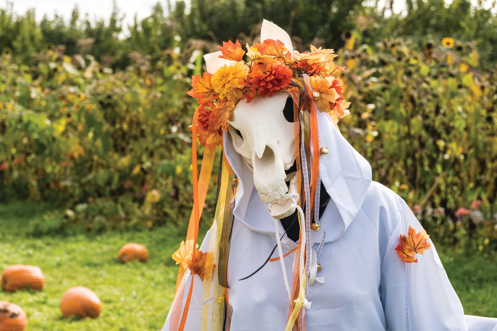 Folklore,Mari,Lwyd,Of,Wales,In,Traditional,Horse,Skull,Costume