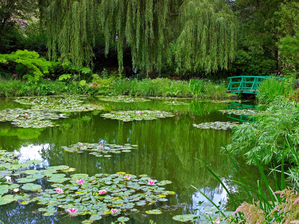 Monets,Garden,In,Giverny,France.