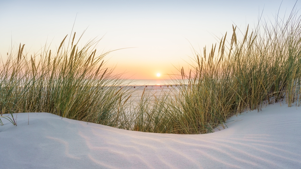 plage-du-nord-pas-de-calais