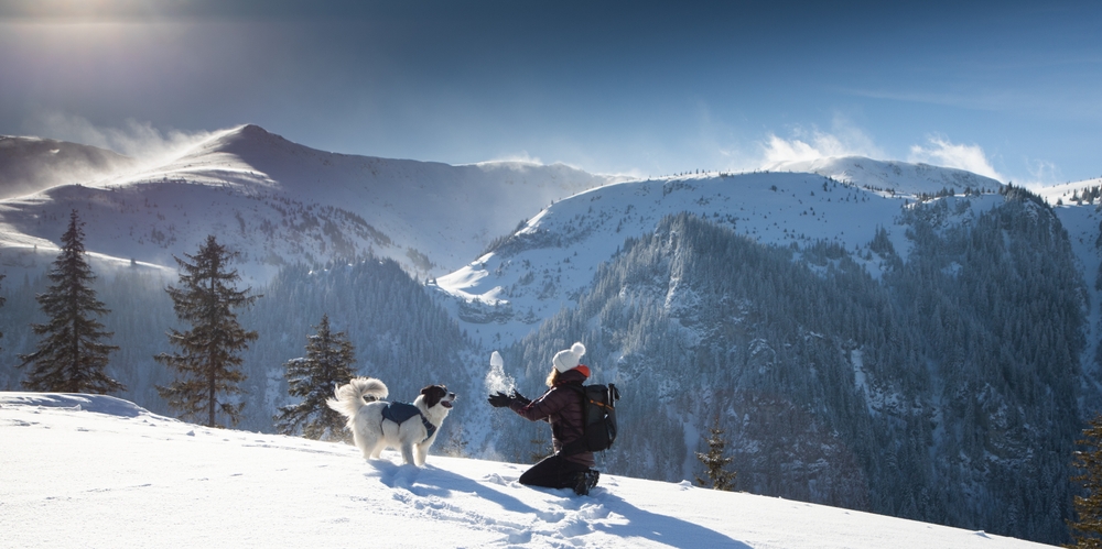 Woman,And,White,Dog,Having,Fun,In,Snowy,Winter,Landscape