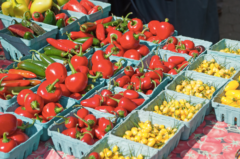 union-square-greenmarket