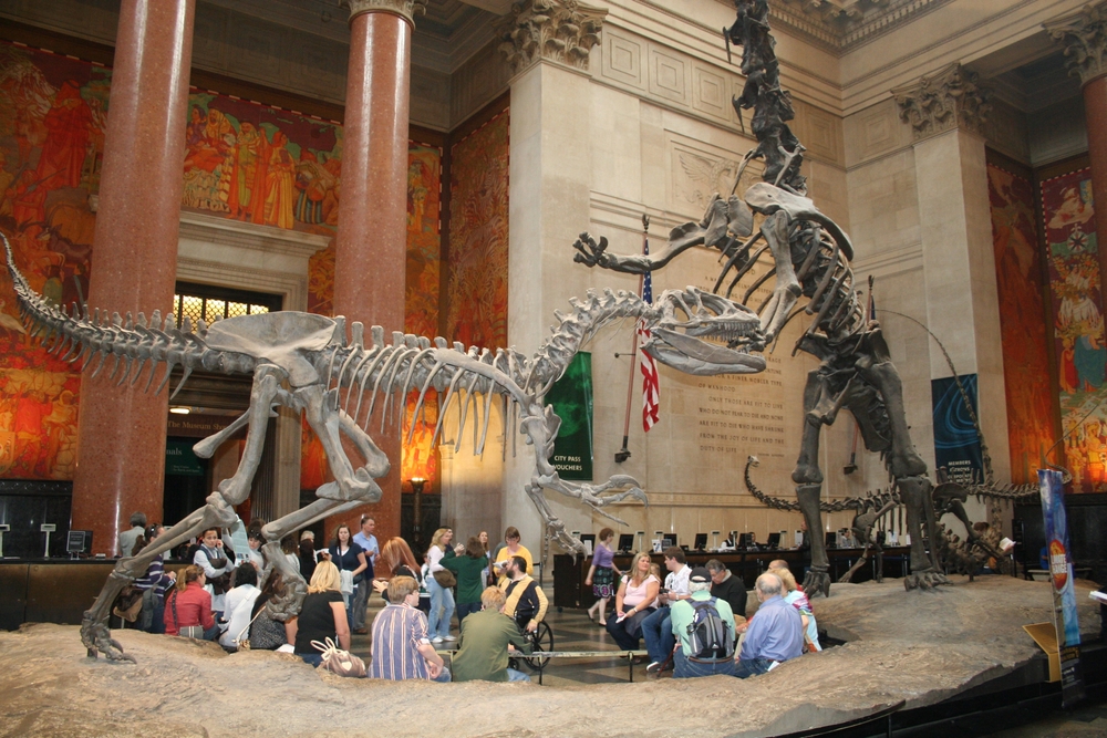 Muséum Américain d'Histoire Naturelle