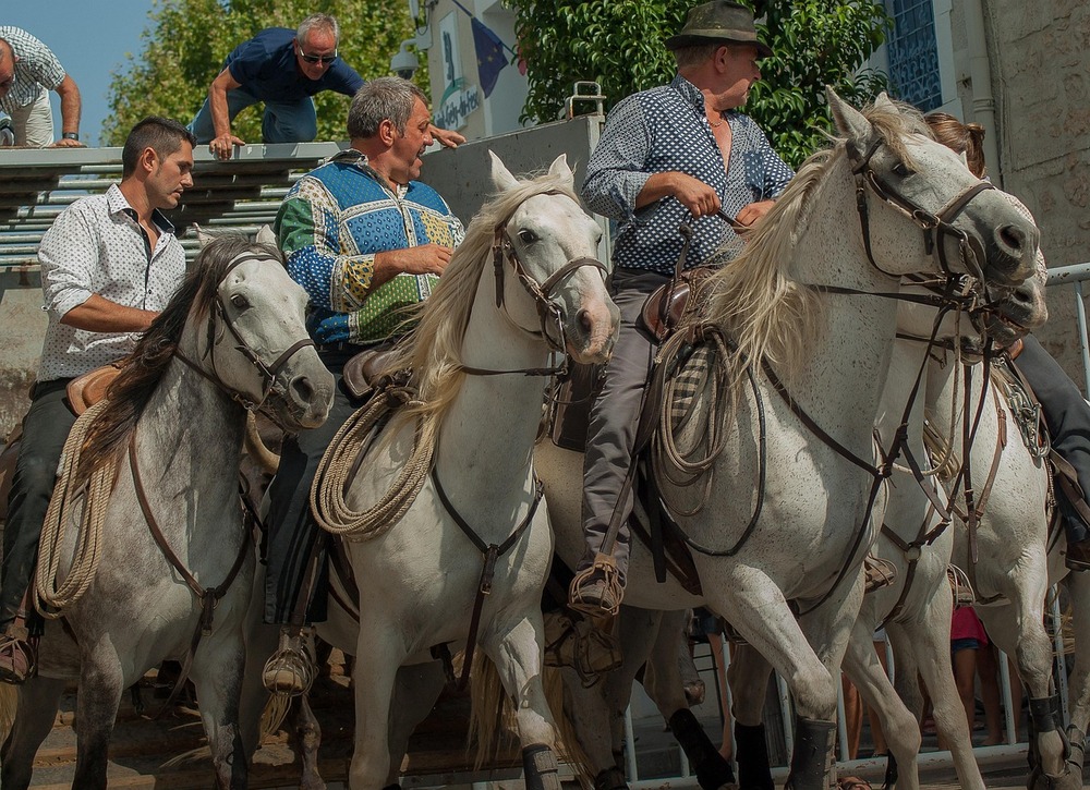 chevaux feria