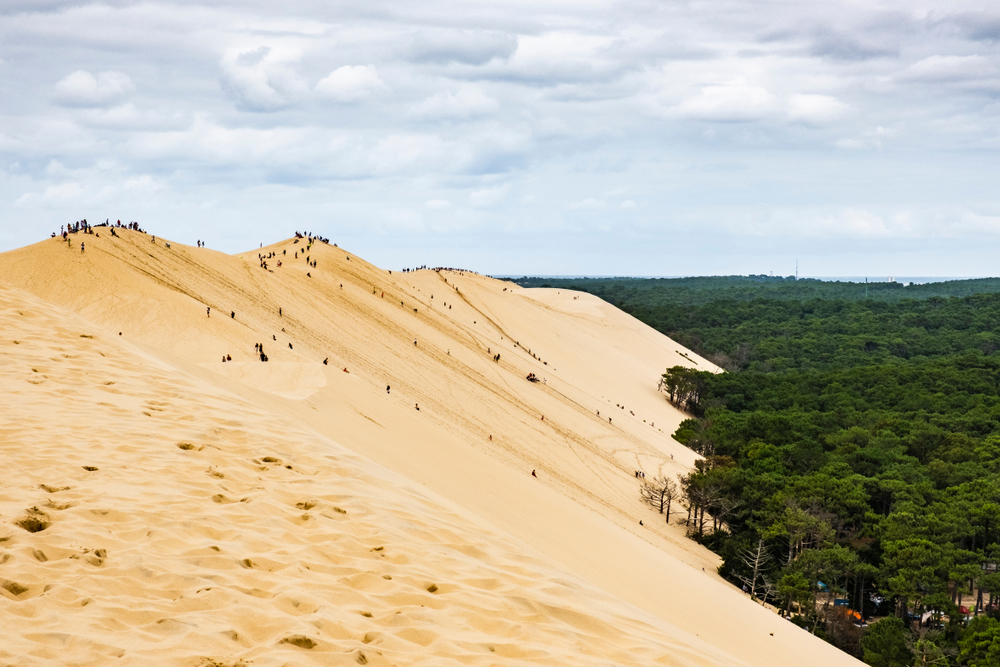 The,Dune,Of,Pilat,,Is,The,Tallest,Sand,Dune,In