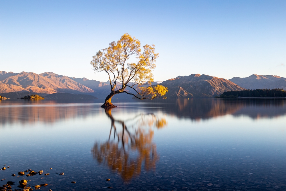 lac-wanaka