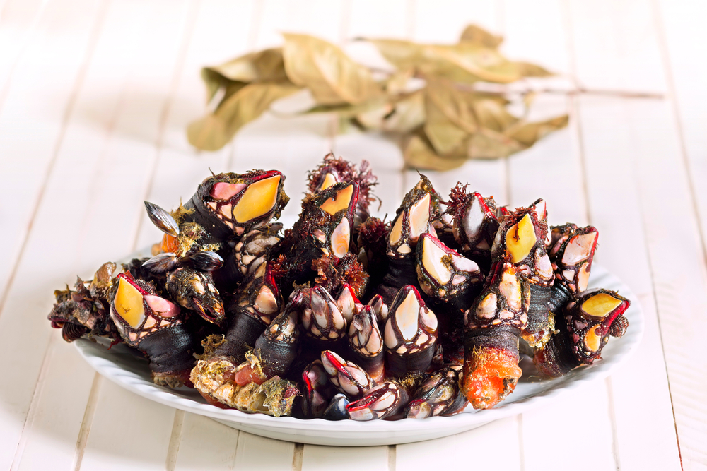 percebes