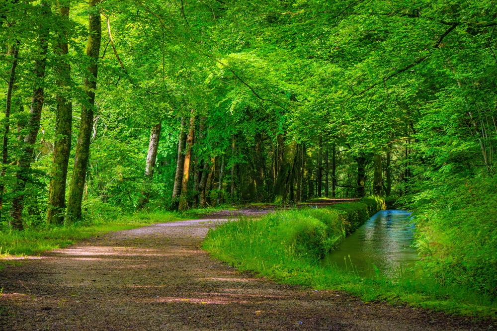 rigole-de-la-montagne