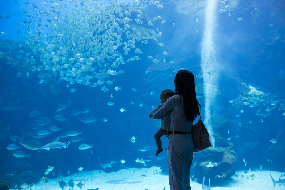 femme-avec-enfant-aquarium