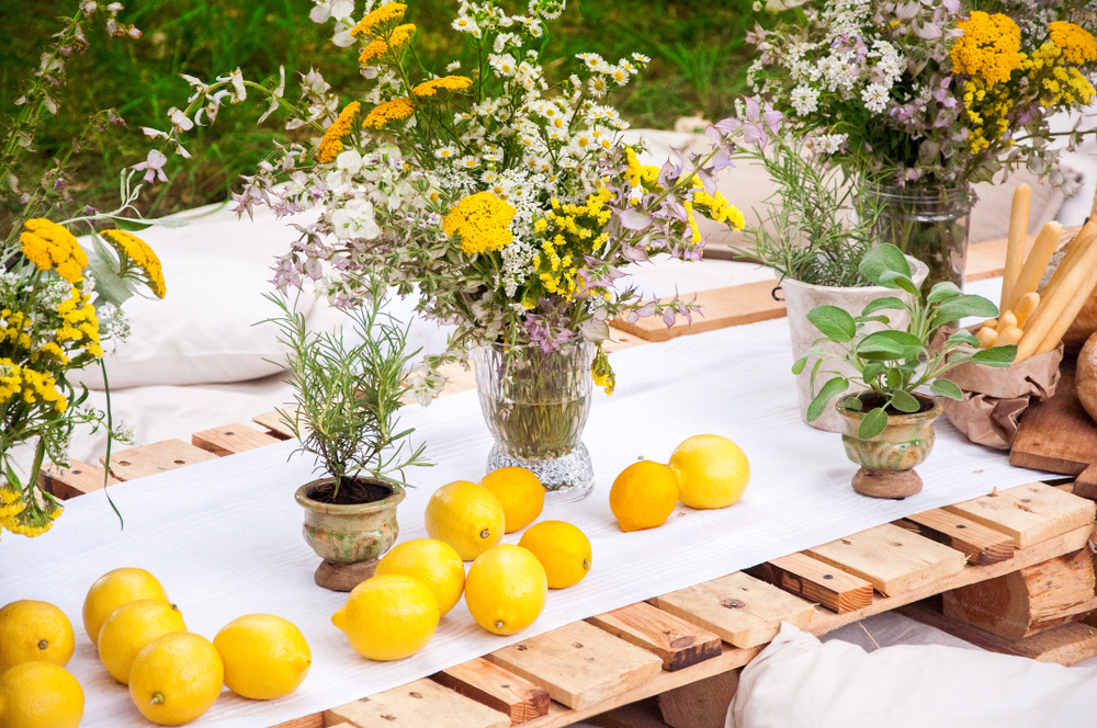 festival-citron-exposition