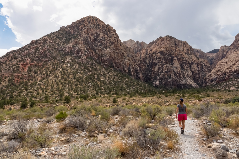 Woman,On,Ice,Box,Canyon,Trailhead,Hiking,Path,With,Scenic