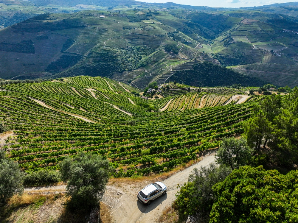 voiture-vignoble-portugal