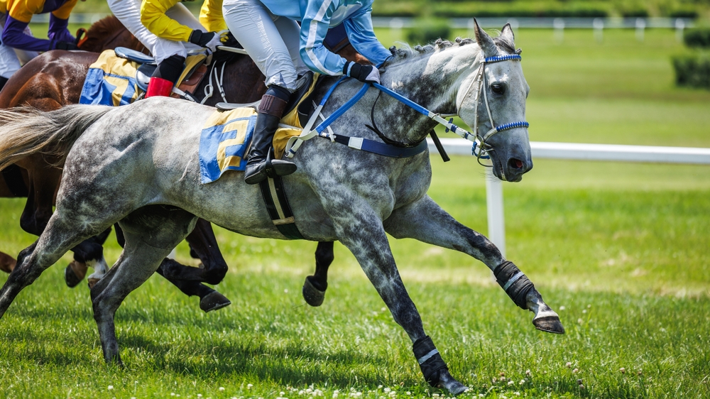 cheval-world-cup-dubai