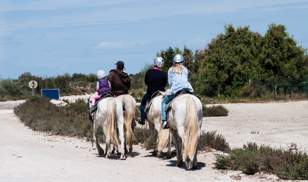 Horseback,Riding,,In,The,Camargue,,Bouches du rhône,,Gard,,France.