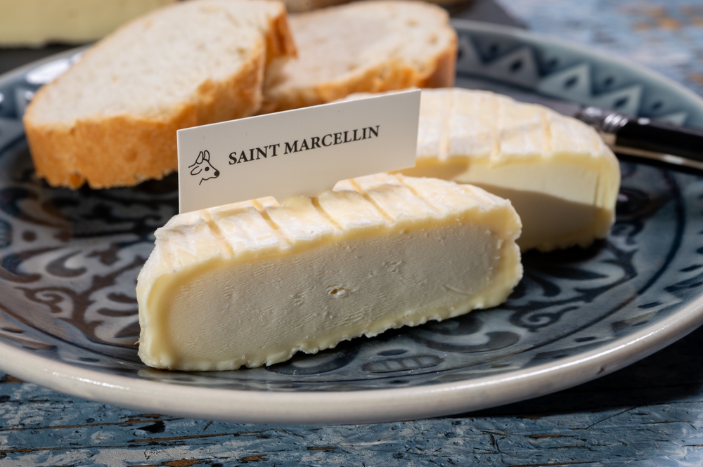 French,Cheeses,Collection,,Saint marcellin,Cow's,Milk,Cheese,With,White,Mold