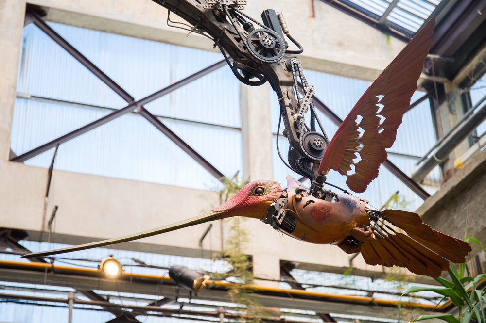 colibri-mahcine-nantes