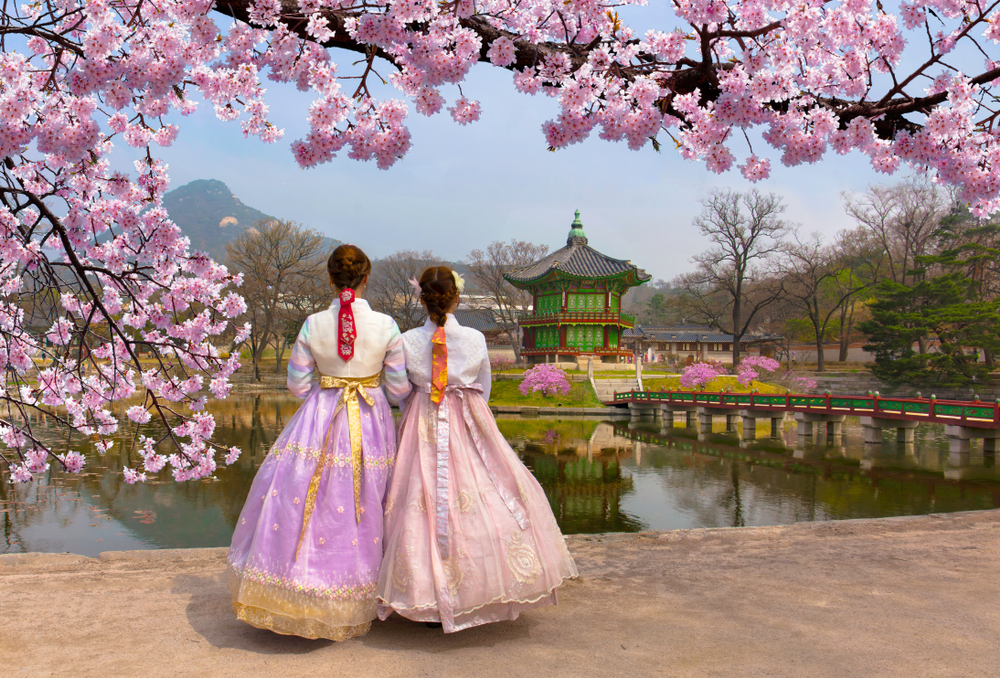 Cherry,Blossom,In,Spring,With,Korean,National,Dress,At,Gyeongbokgung