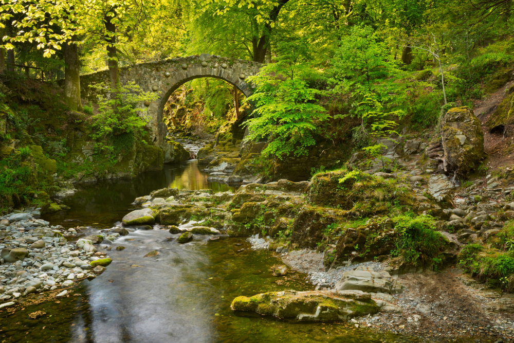 Foley's,Bridge,Over,The,Shimna,River,In,Tollymore,Forest,Park,