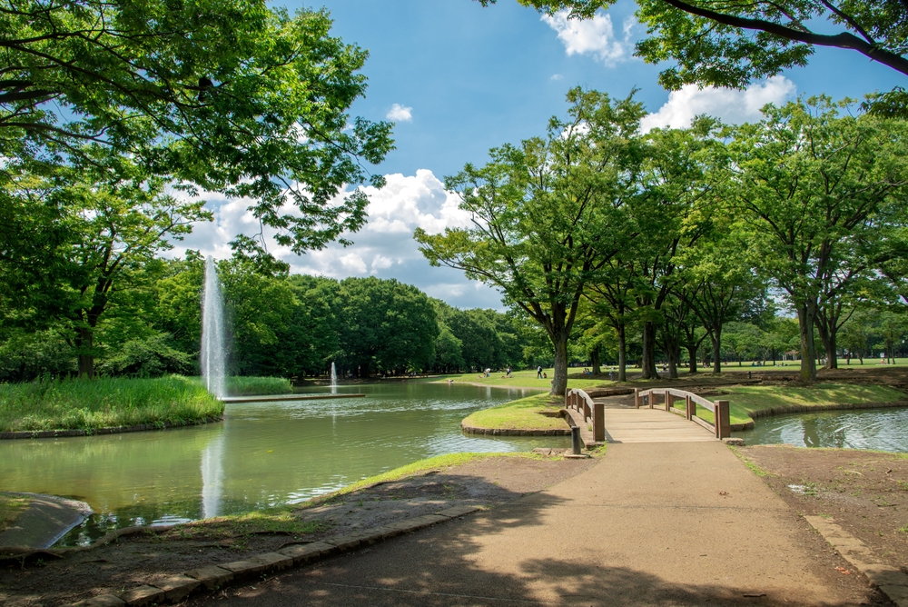 Yoyogi,Park,In,Shibuya,,Tokyo,,Japan